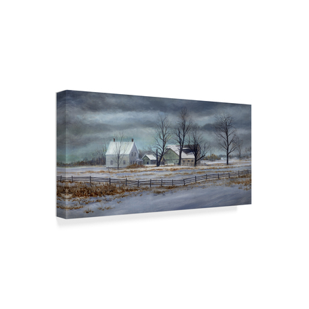 Trademark Fine Art John Morrow 'Winter Gray ' Canvas Art, 12x24 ALI21306-C1224GG